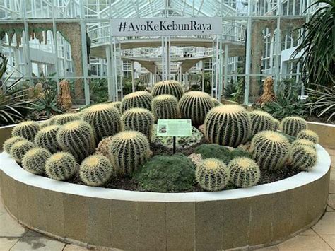  Bandung Botanic Garden: 싱그러운 자연 속에서 피어나는 아름다움과 역사의 향기